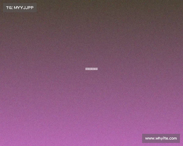 南京搏击赛事排名